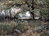 In Queen's Cottage Gardens